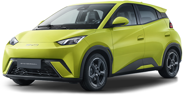 BYD SEAGULL